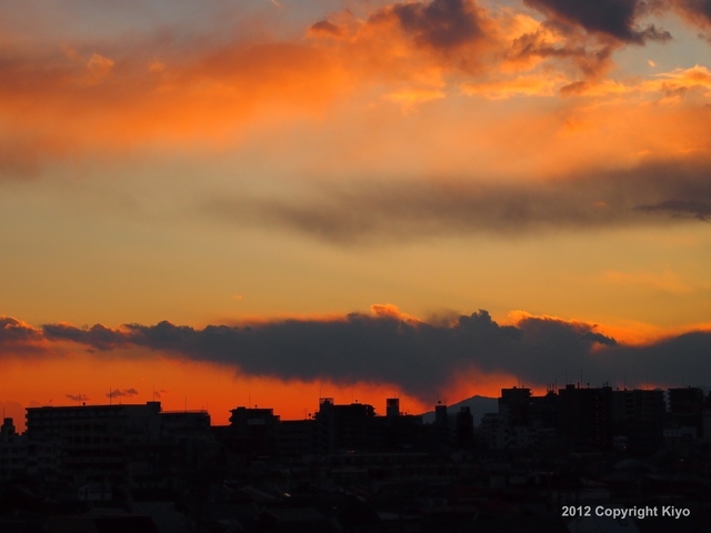 31040438_1280x960_補正済.jpg