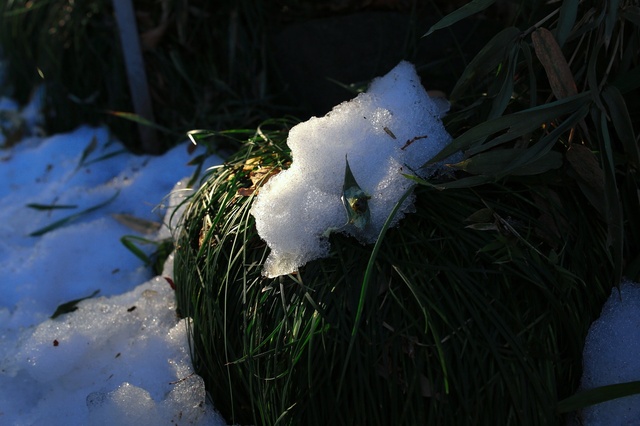 5D3_3460_2048x1365_補正済.jpg