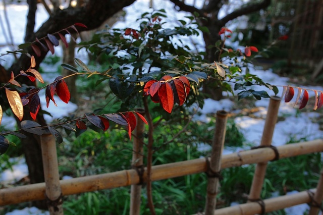 5D3_3468_2048x1365_補正済.jpg