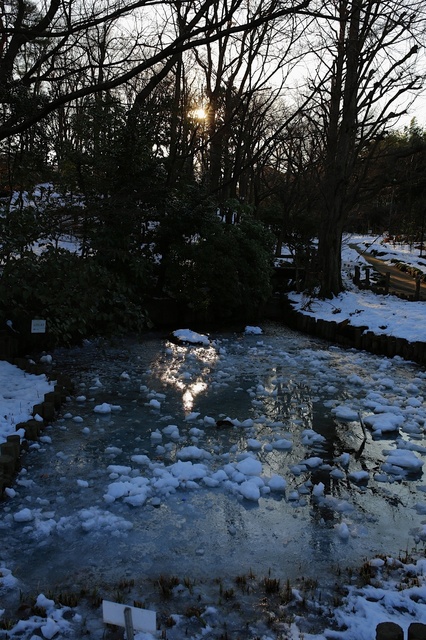 5D3_3479_2048x1365_補正済.jpg