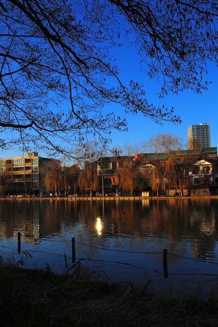 5D3_3508_2048x1365_補正済.jpg