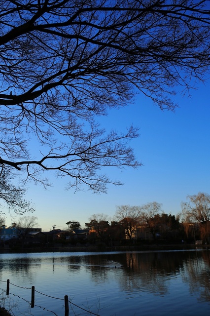 5D3_3513_2048x1365_補正済.jpg
