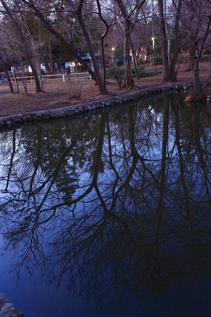 5D3_3655_2048x1365_補正済.jpg