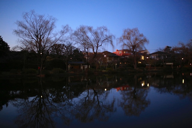 5D3_3664_2048x1365_補正済.jpg