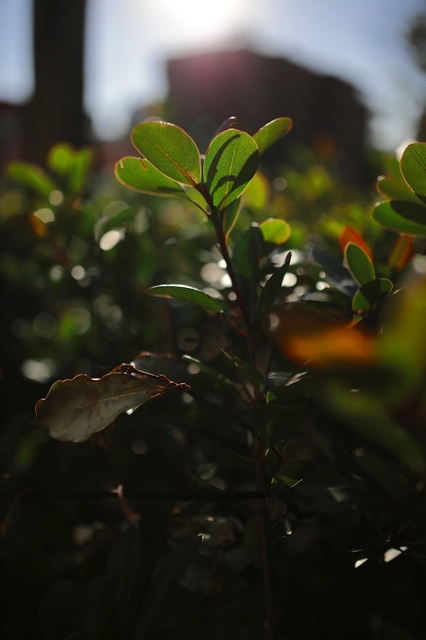 5D3_5078_2048x1365_補正済.jpg
