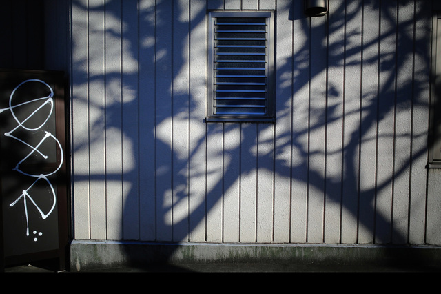 5D3_5080_2048x1365_補正済_2.jpg
