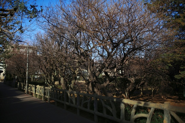 5D3_5081_2048x1365_補正済.jpg