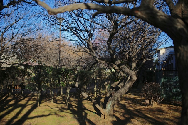 5D3_5082_2048x1365_補正済.jpg