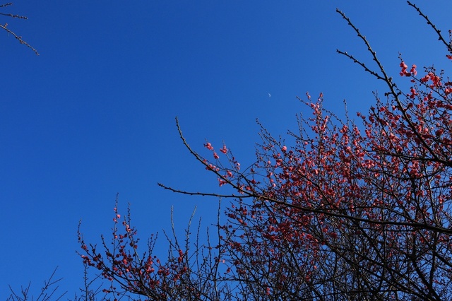 5D3_5091_2048x1365_補正済.jpg