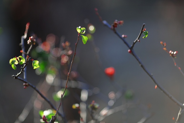 5D3_5124_2048x1365_補正済.jpg