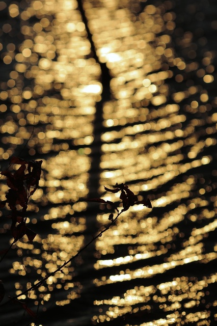 5D3_5249_2048x1365_補正済.jpg