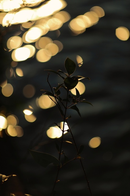 5D3_5254_2048x1365_補正済.jpg