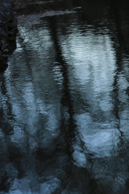 5D3_5300_2048x1365_補正済.jpg