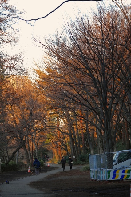 5D3_5303_2048x1365_補正済.jpg