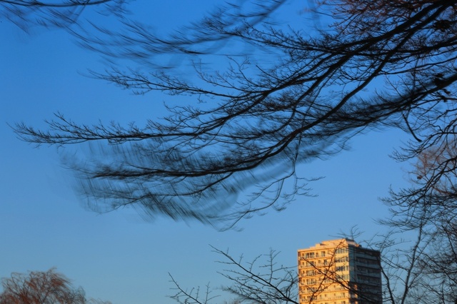 5D3_5309_2048x1365_補正済.jpg