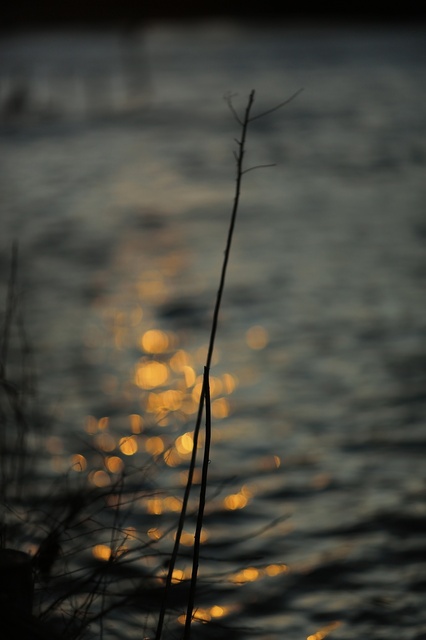 5D3_5310_2048x1365_補正済.jpg
