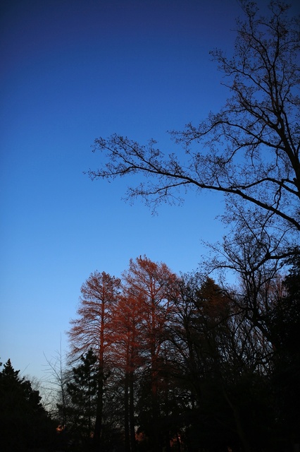 5D3_5318_2048x1365_補正済.jpg