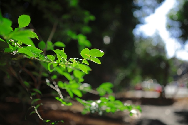 5D3_5416_2048x1365_補正済.jpg