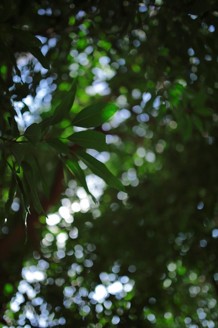 5D3_5417_2048x1365_補正済.jpg