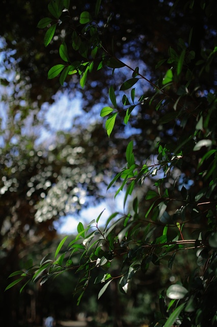 5D3_5436_2048x1365_補正済.jpg