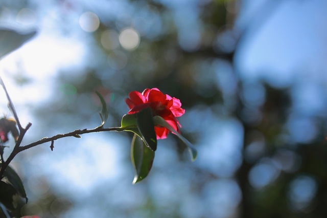 5D3_5469_2048x1365_補正済.jpg