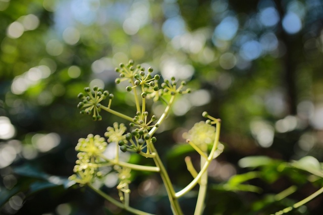 5D3_5474_2048x1365_補正済.jpg