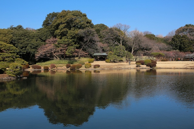 5D3_5489_2048x1365_補正済.jpg
