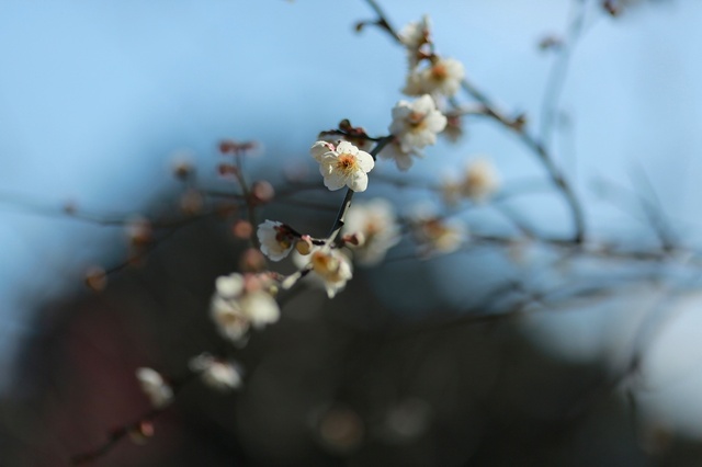 5D3_5600_2048x1365_補正済.jpg