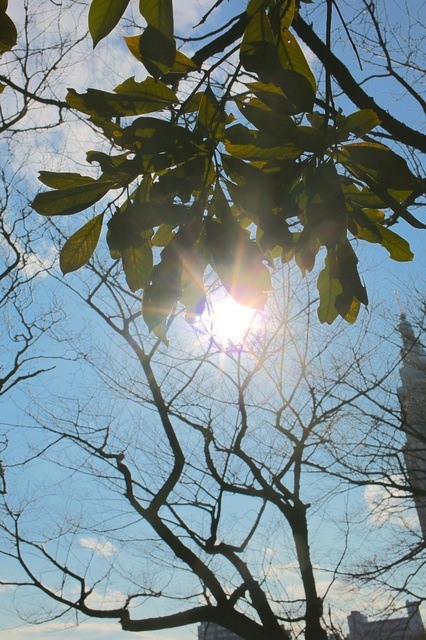 5D3_5664_2048x1365_補正済.jpg