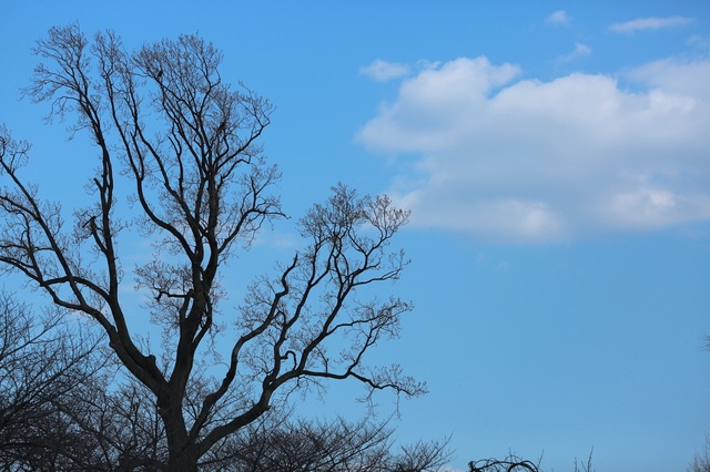 5D3_5783_2048x1365_補正済.jpg