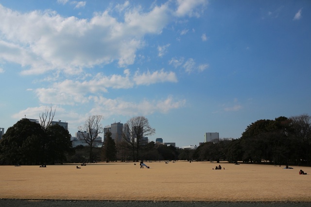 5D3_5798_2048x1365_補正済.jpg