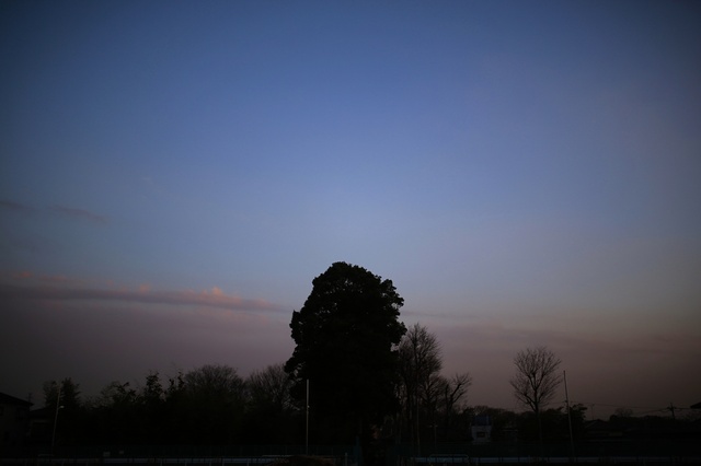 5D3_6818_2048x1365_補正済.jpg