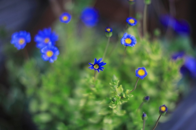 5D3_6838_2048x1365_補正済.jpg