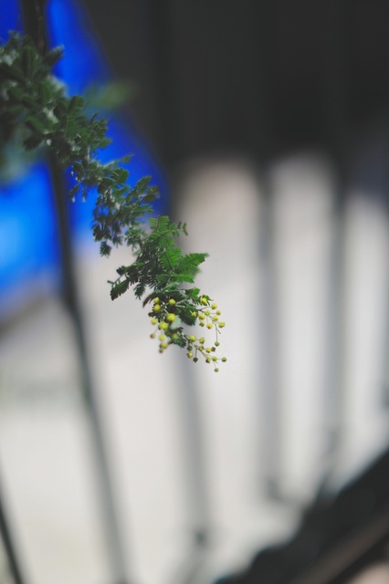 5D3_6843_2048x1365_補正済.jpg