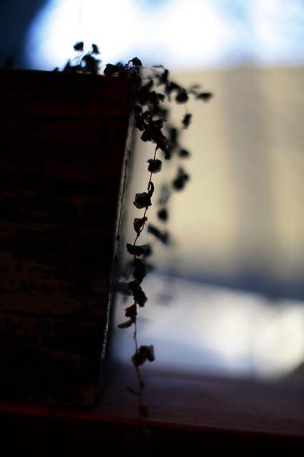 5D3_6871_2048x1365_補正済.jpg