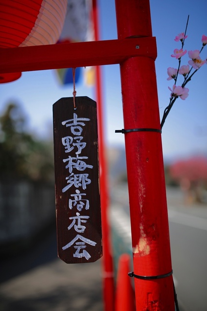 5D3_6956_2048x1365_補正済.jpg