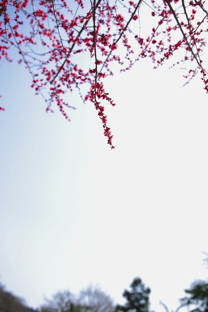 5D3_6965_2048x1365_補正済.jpg