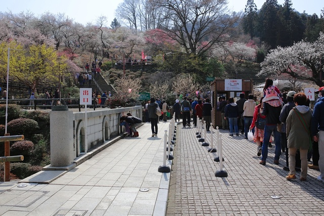 5D3_7042_2048x1365_補正済.jpg