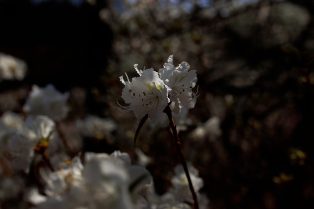 5D3_7078_2048x1365_補正済.jpg