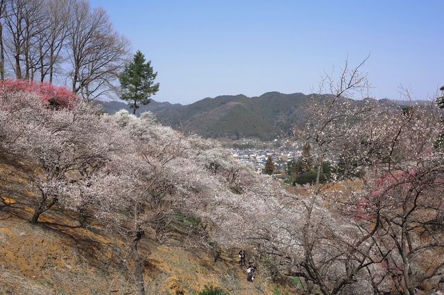 5D3_7097_2048x1365_補正済.jpg