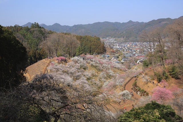 5D3_7120_2048x1365_補正済.jpg