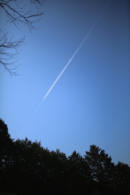 5D3_7127_2048x1365_補正済.jpg