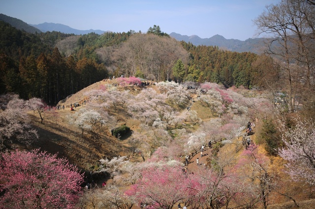 5D3_7140_2048x1365_補正済.jpg