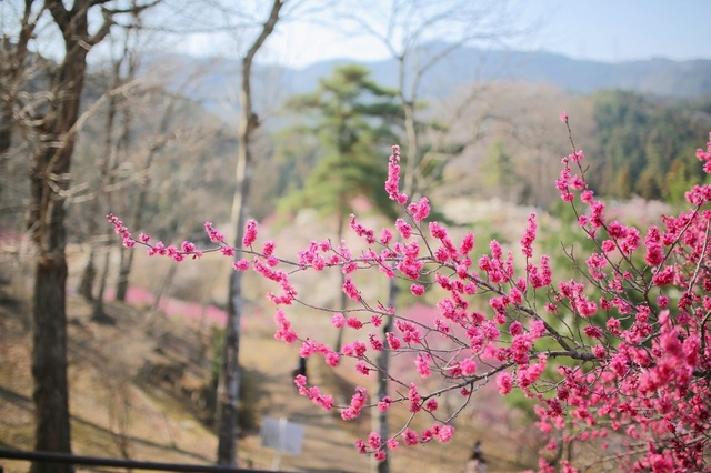 5D3_7148_2048x1365_補正済.jpg