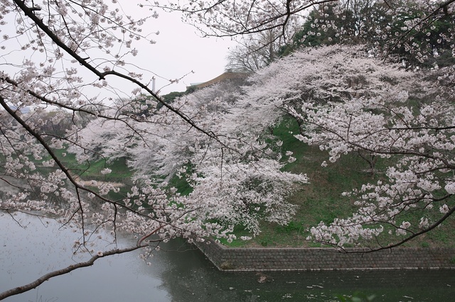 5D3_8841_2048x1365_補正済.jpg