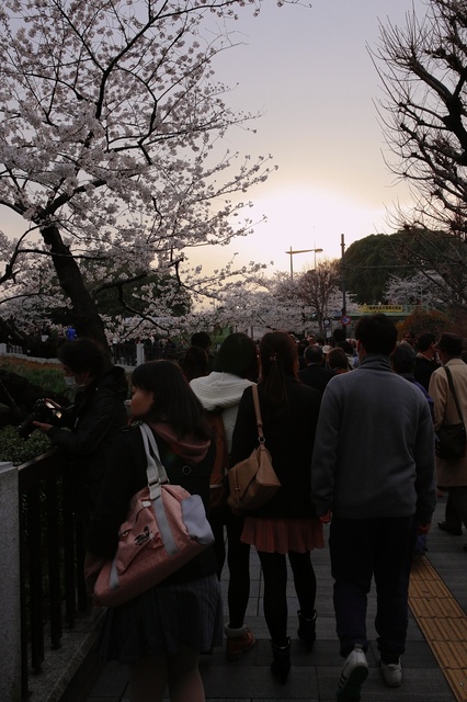 5D3_8845_2048x1365_補正済.jpg