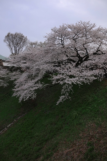 5D3_8850_2048x1365_補正済.jpg