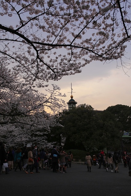 5D3_8864_2048x1365_補正済.jpg