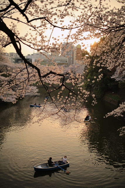 5D3_8884_2048x1365_補正済.jpg