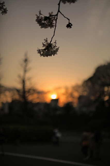 5D3_8907_2048x1365_補正済.jpg